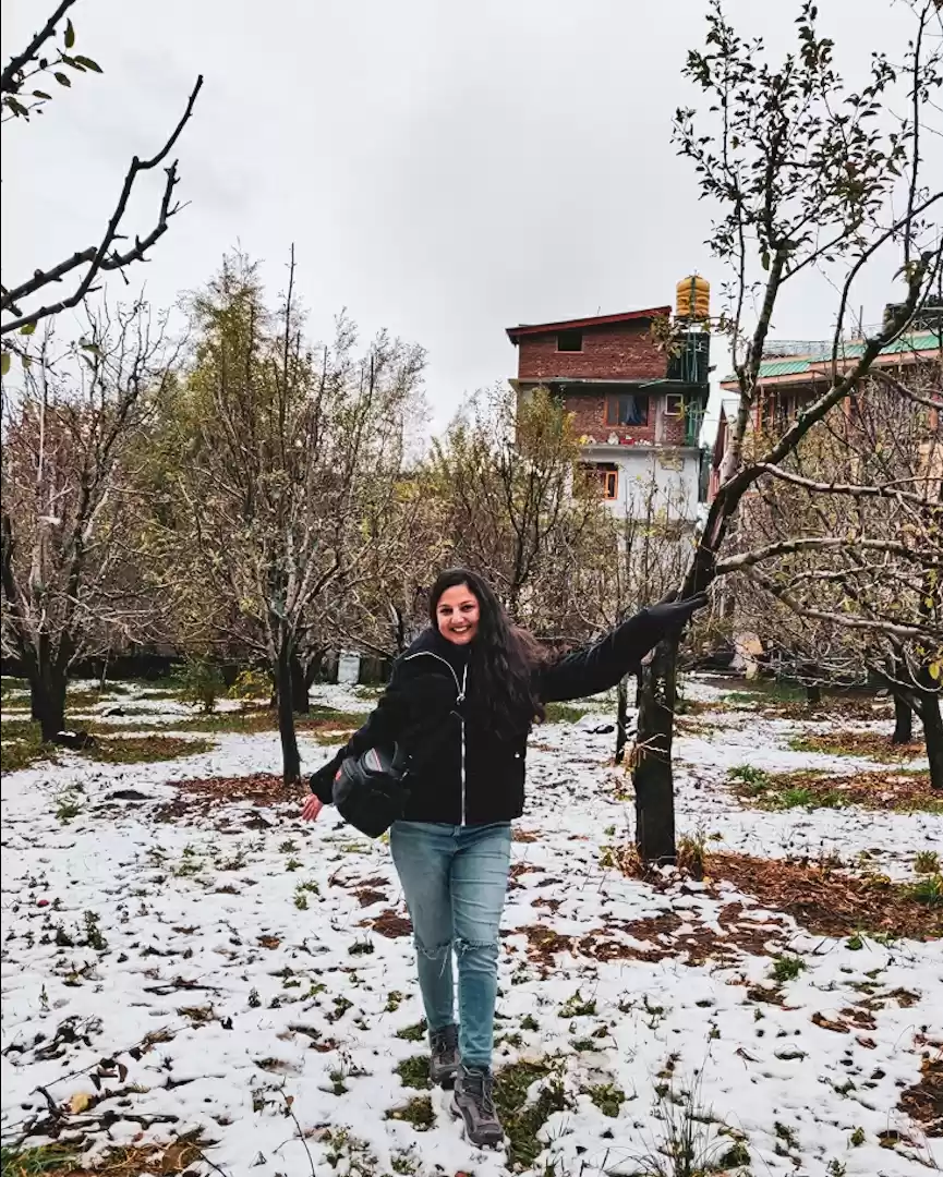 Photo of Season's first Snowf