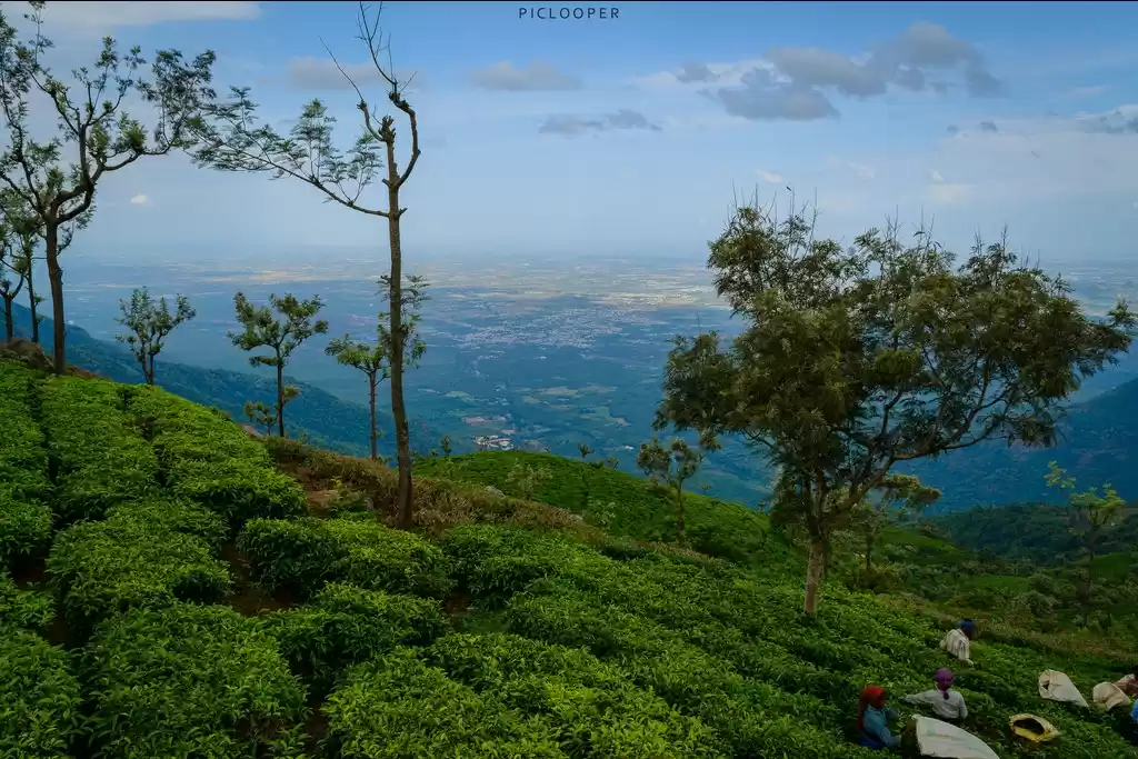 Photo of Coonoor - The Hidden