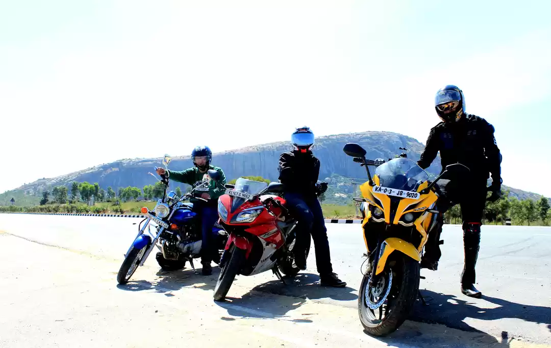 Photo of Le Pakshi- Rise bird