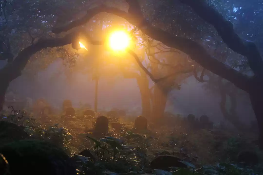 Photo of Mumbai - Pune Solo R