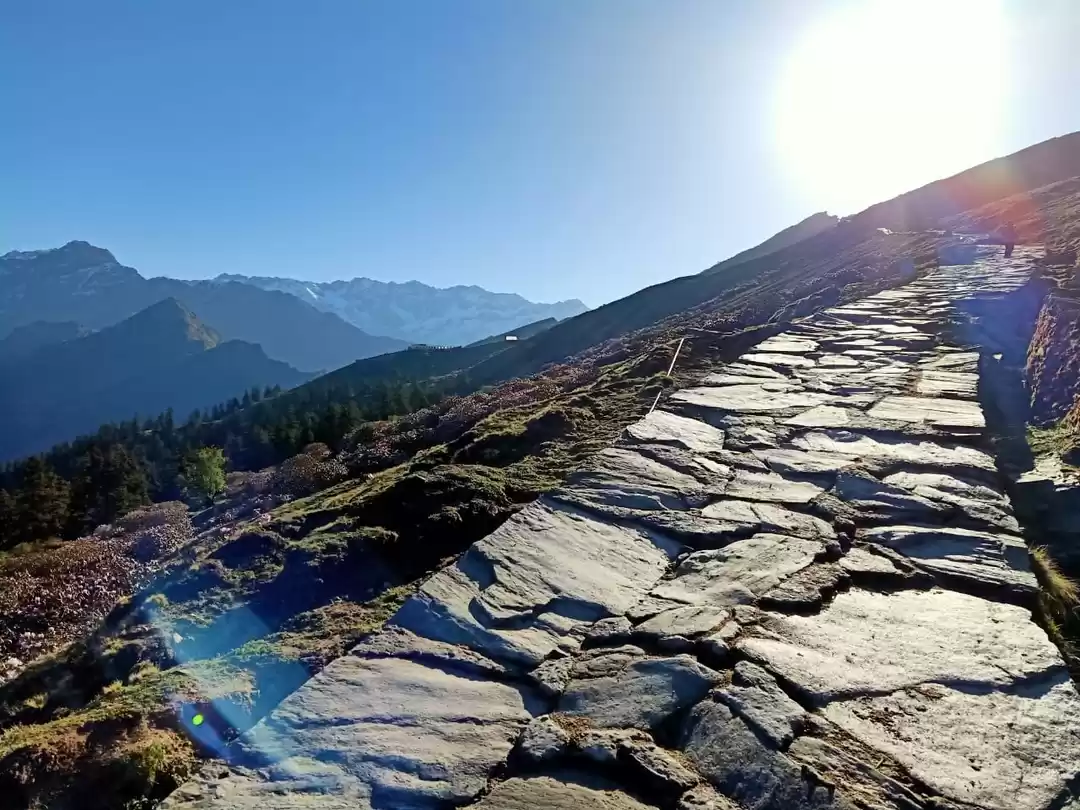 Photo of wanderer 