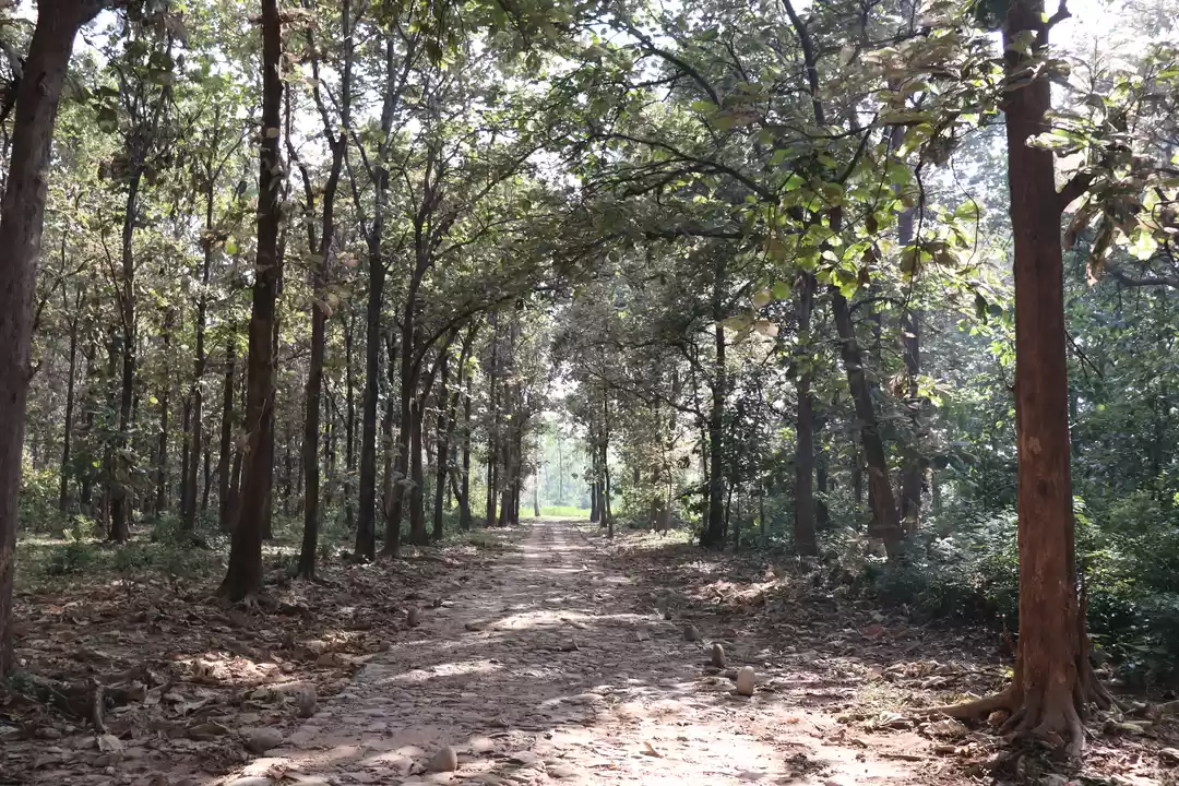 Photo of Jim Corbett National