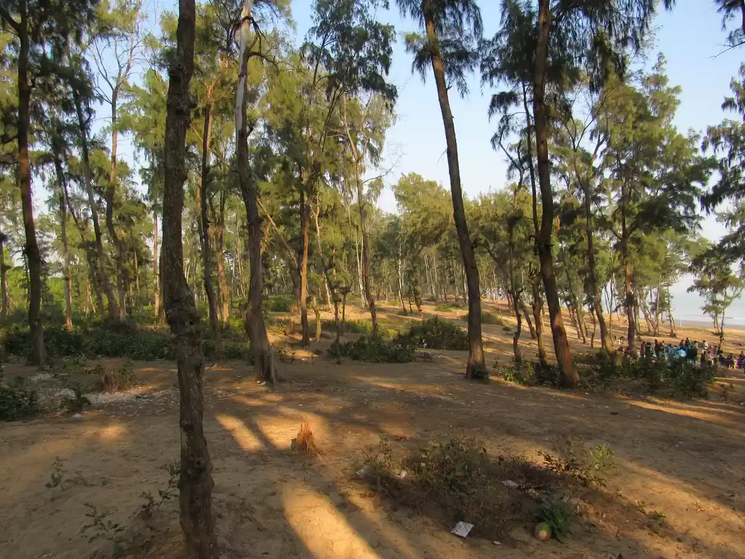 Photo of Talsari Beach, Balas