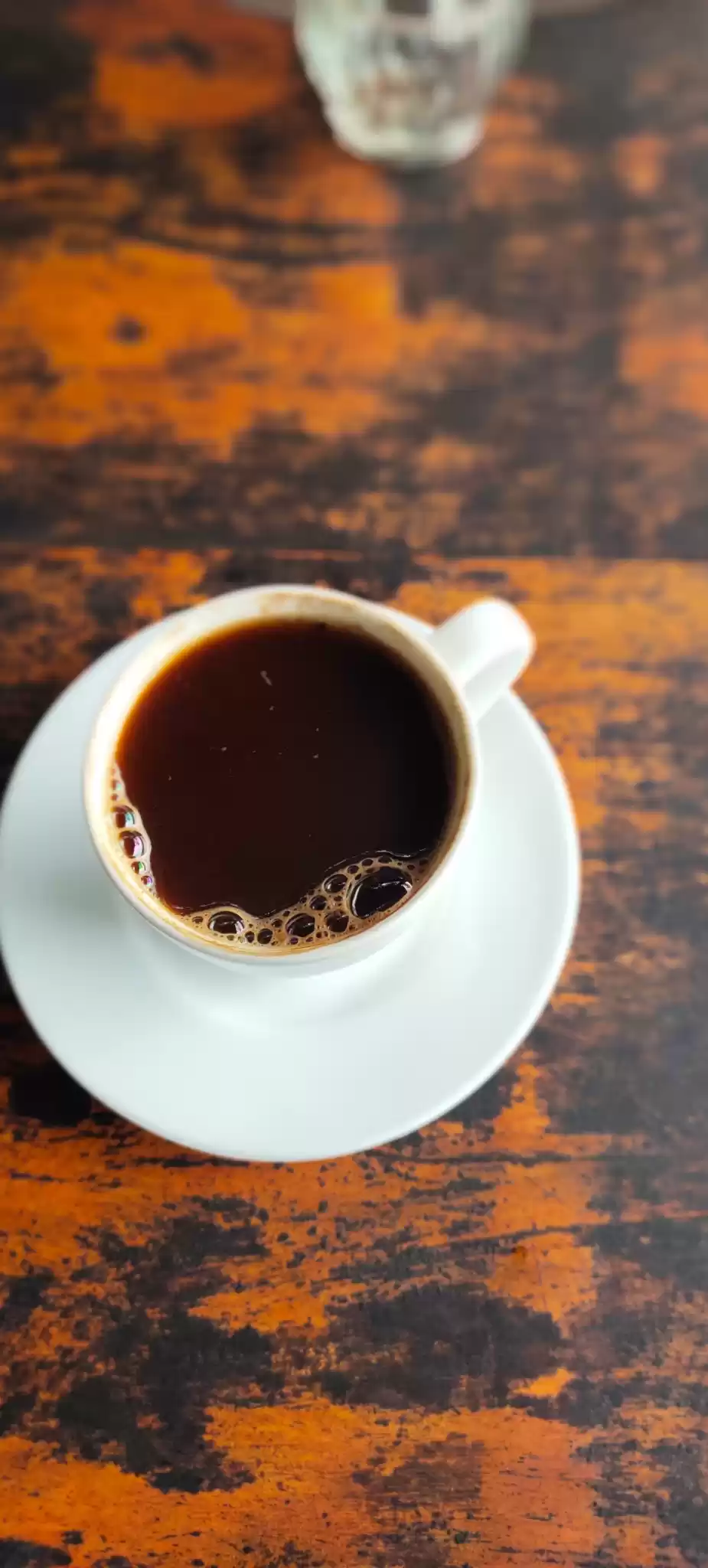 Photo of KOPI Luwak- Palm civ