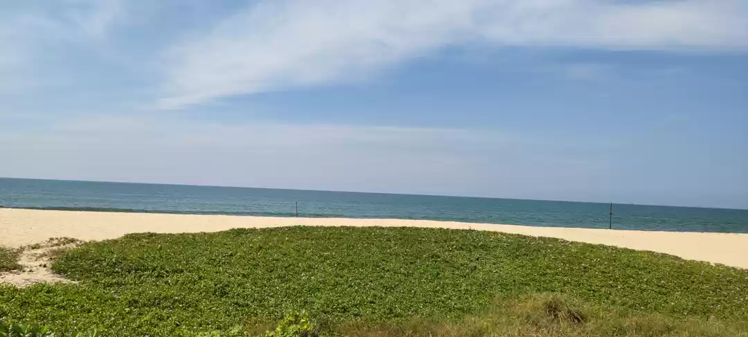 Photo of Mangalore-Tannirbgav