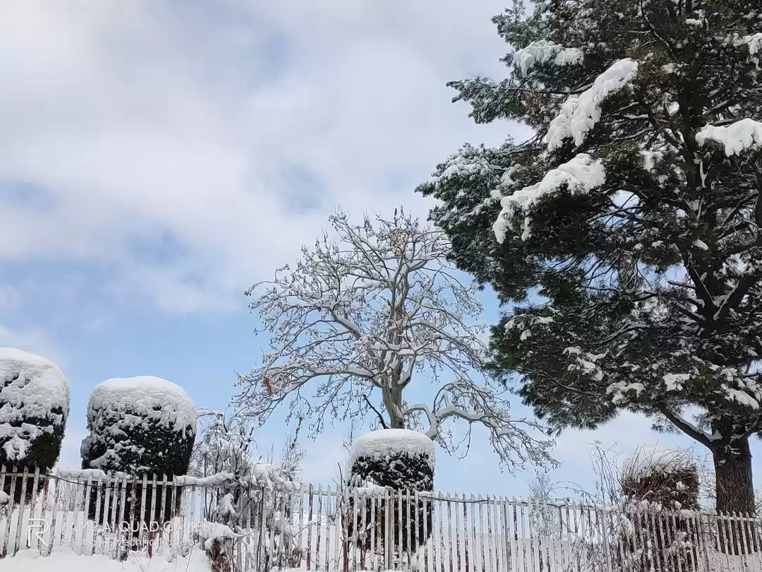 Photo of Gulmarg...Noor-E-Kas