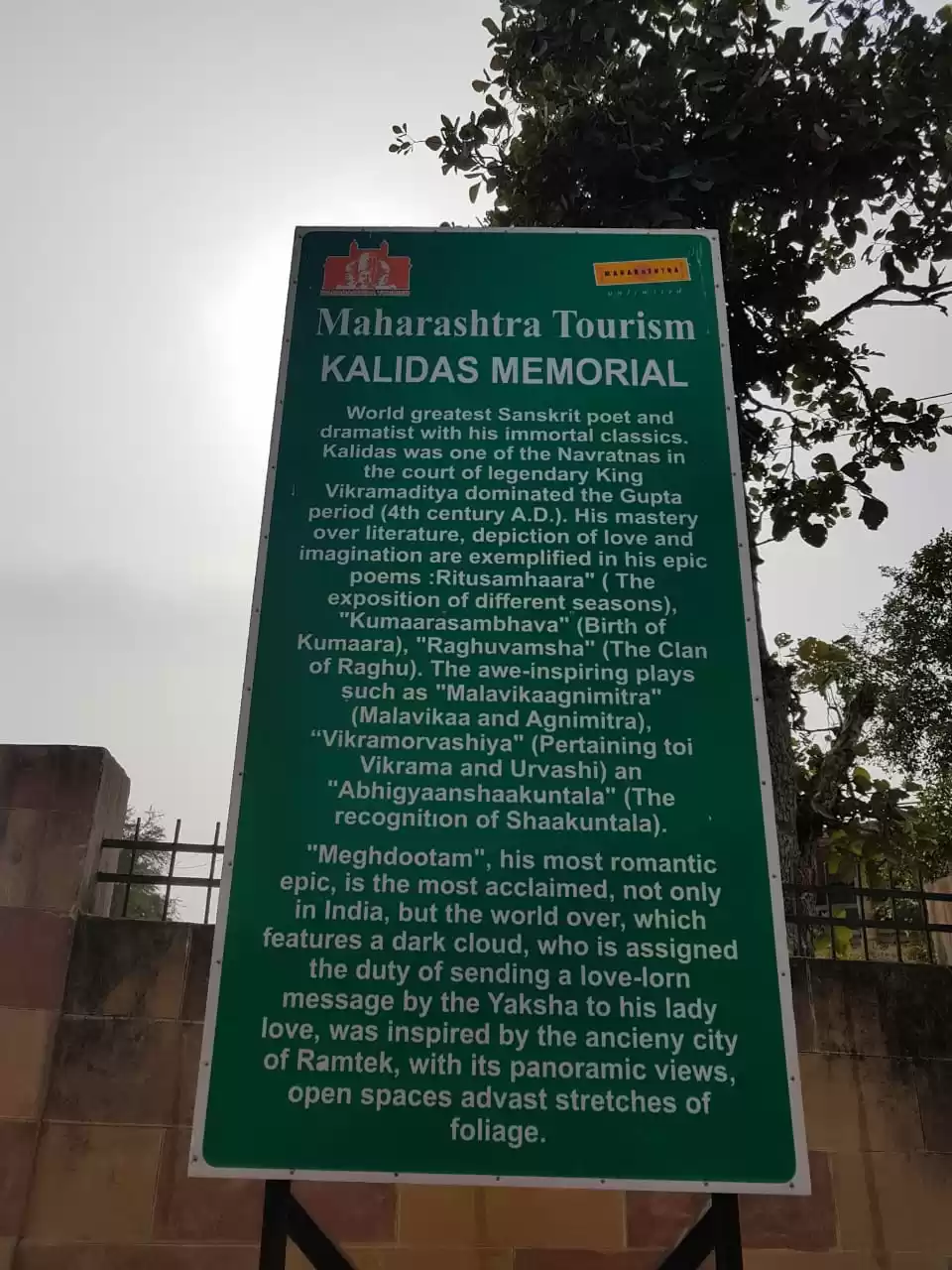 Photo of Following the tiger'