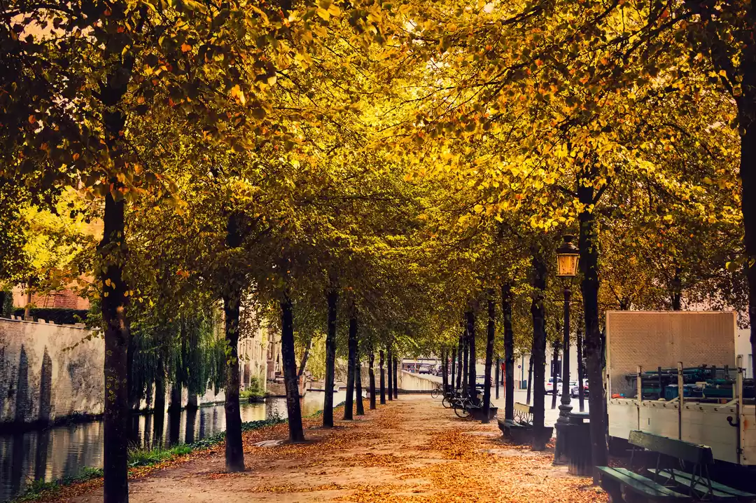 Photo of The Fairy Land- Brug