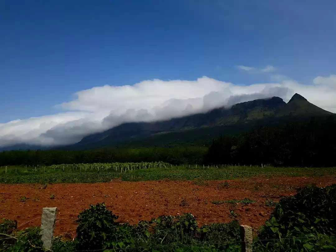 Photo of Chickmagaluru: land 