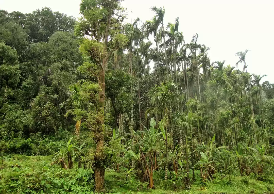 Photo of Into the heart of We