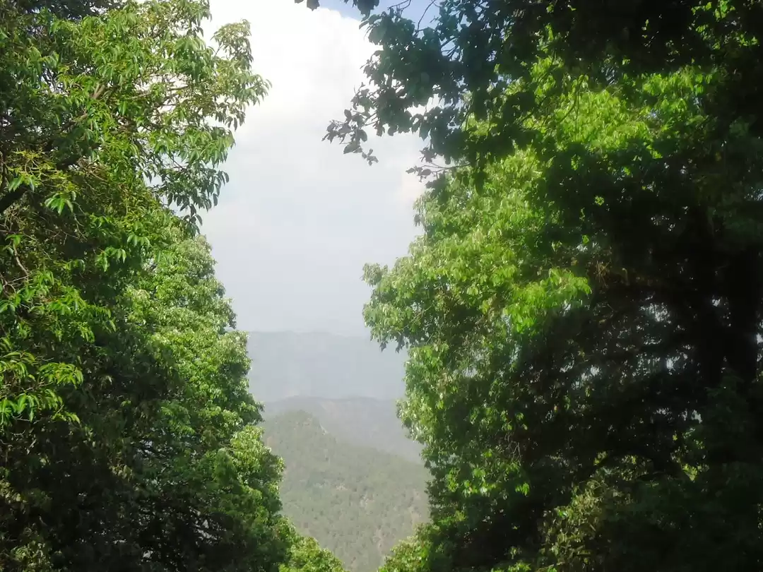 Photo of In Between The Hills