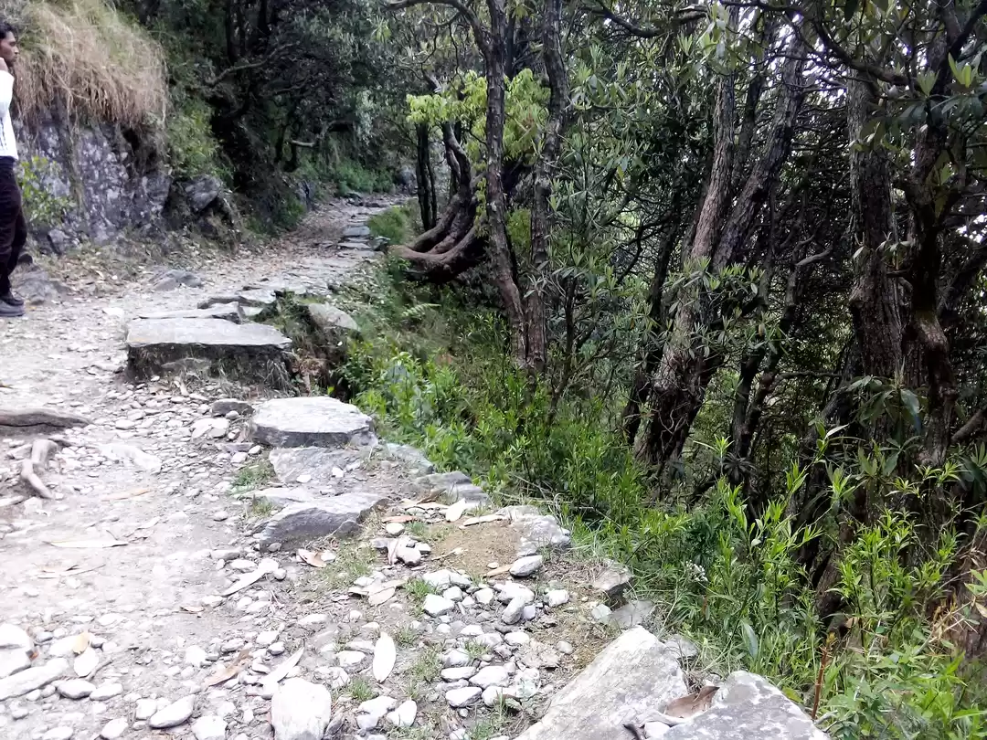 Photo of A Triund treat