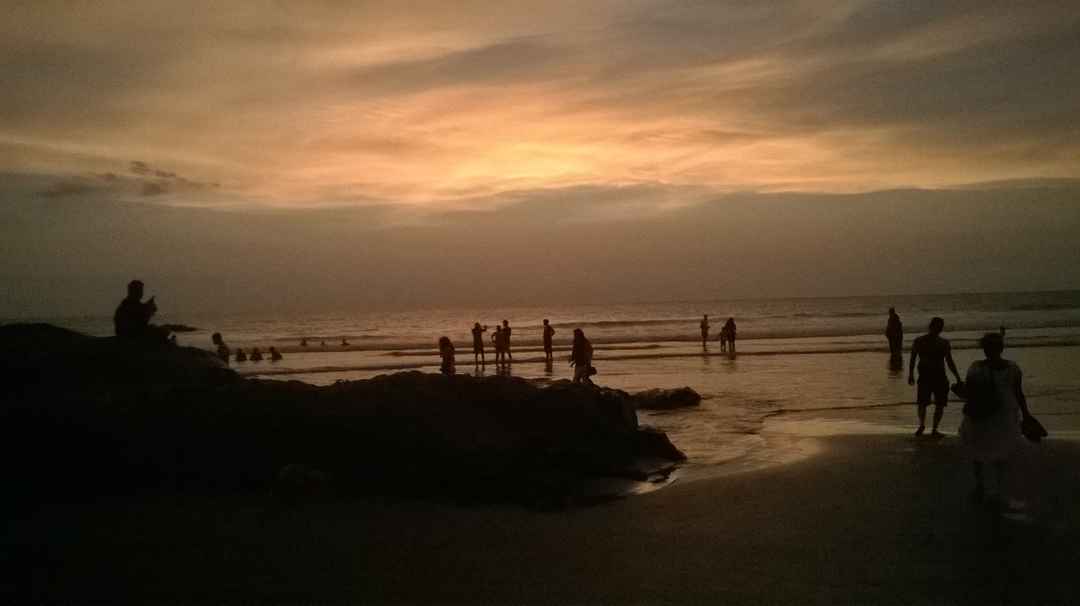 Photo of North Goa cocktail expedition