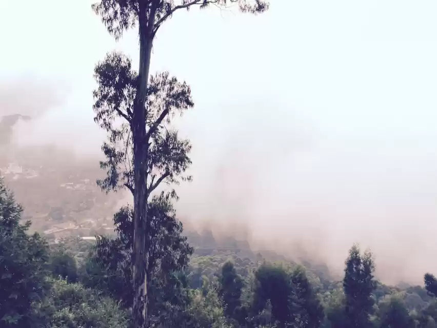 Photo of Kodaikanal: Princess