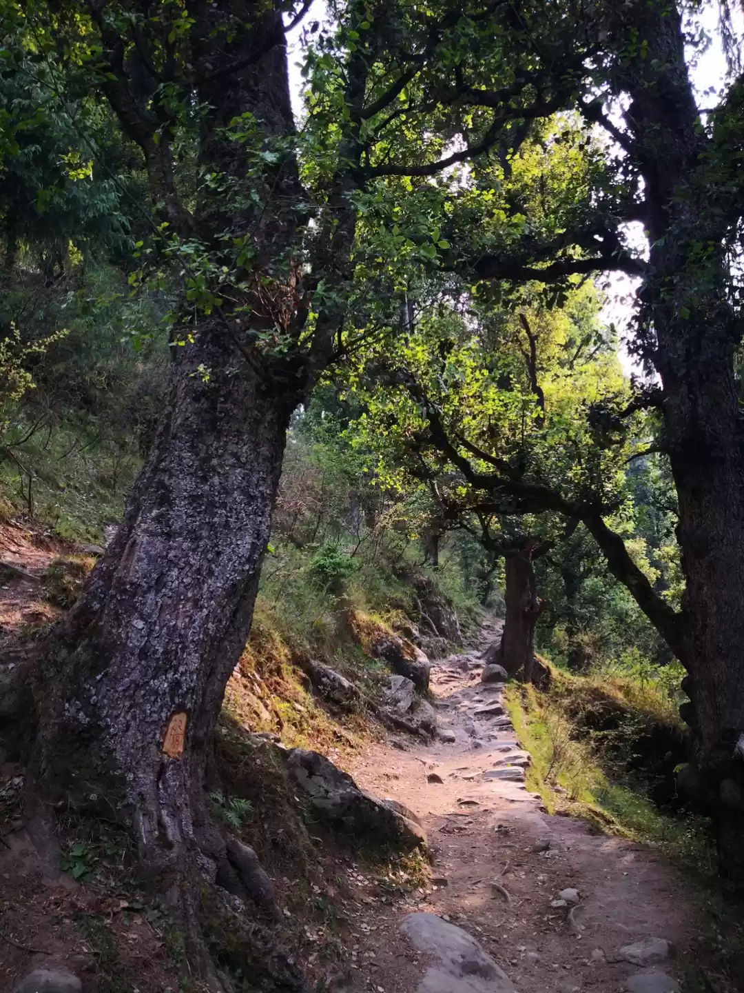 Photo of Trip to Pulga and ca