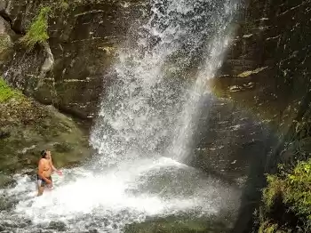 Photo of Organic food, views 