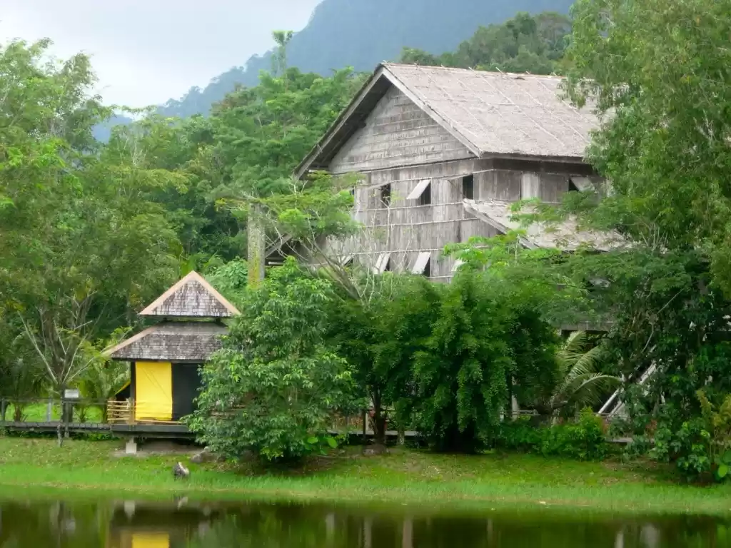 Photo of On The Wild Side: Bo