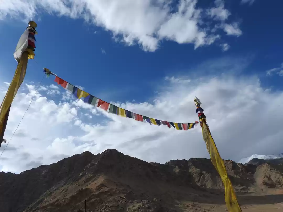 Photo of Why You Should (NOT)