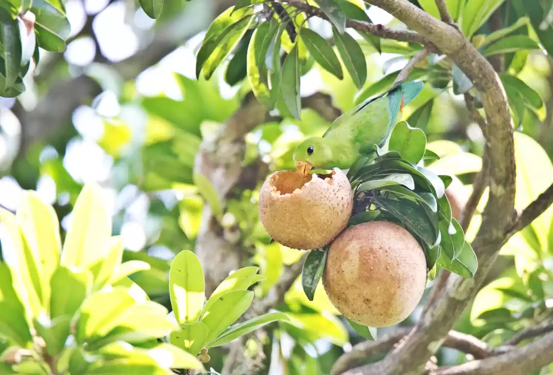 Photo of Nagarhole trip