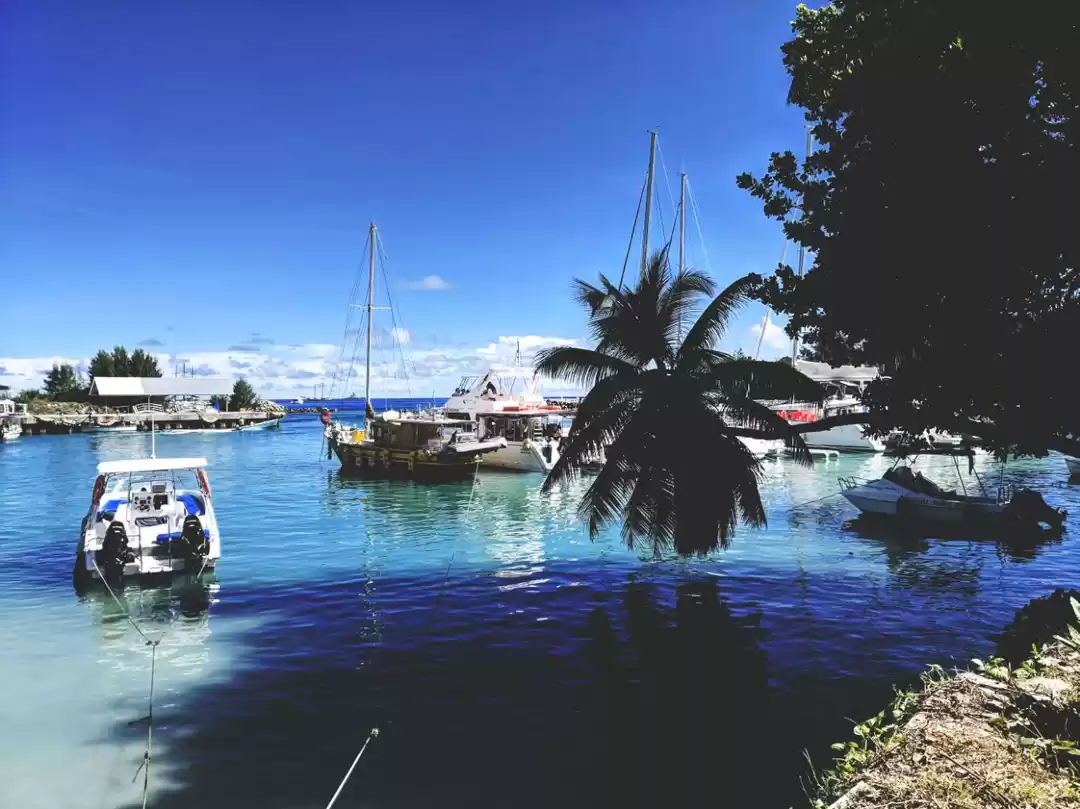 Photo of Seychelles- Experien