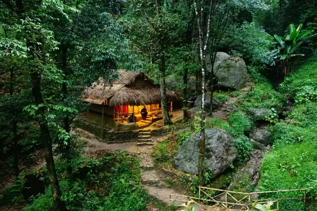 Photo of This homestay near D