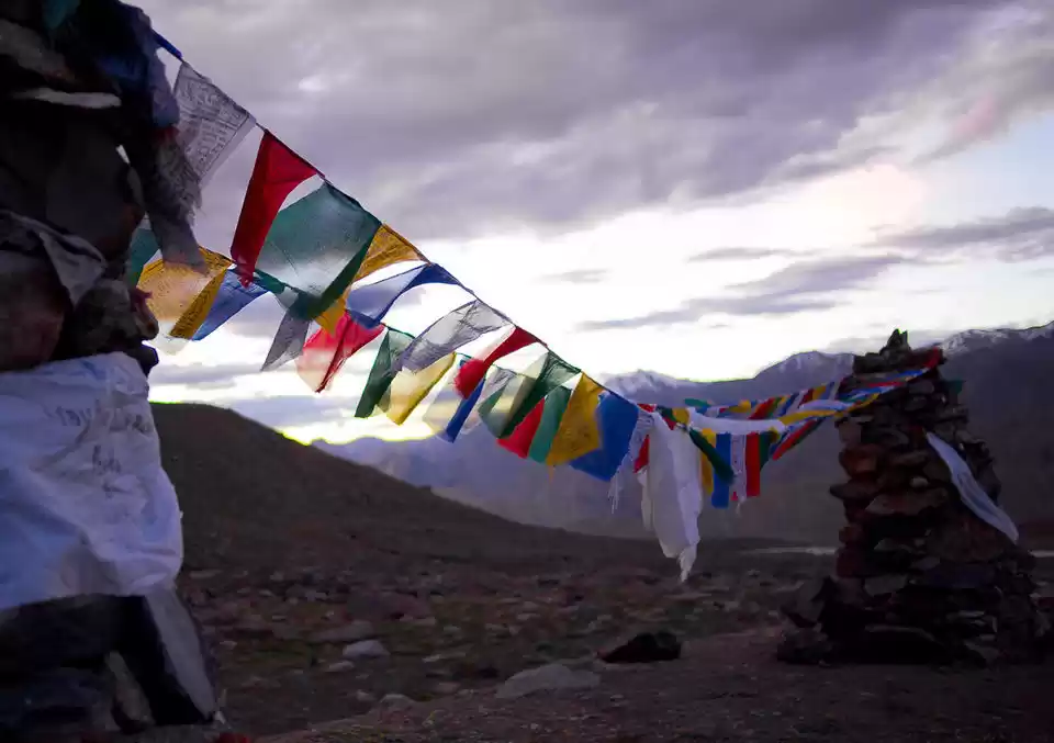 Photo of Everything You Need