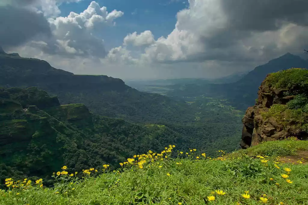 Photo of Entry for Tourists B