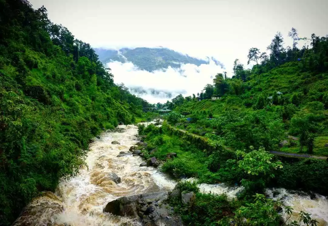 Photo of Sikkim Wins UN's Osc