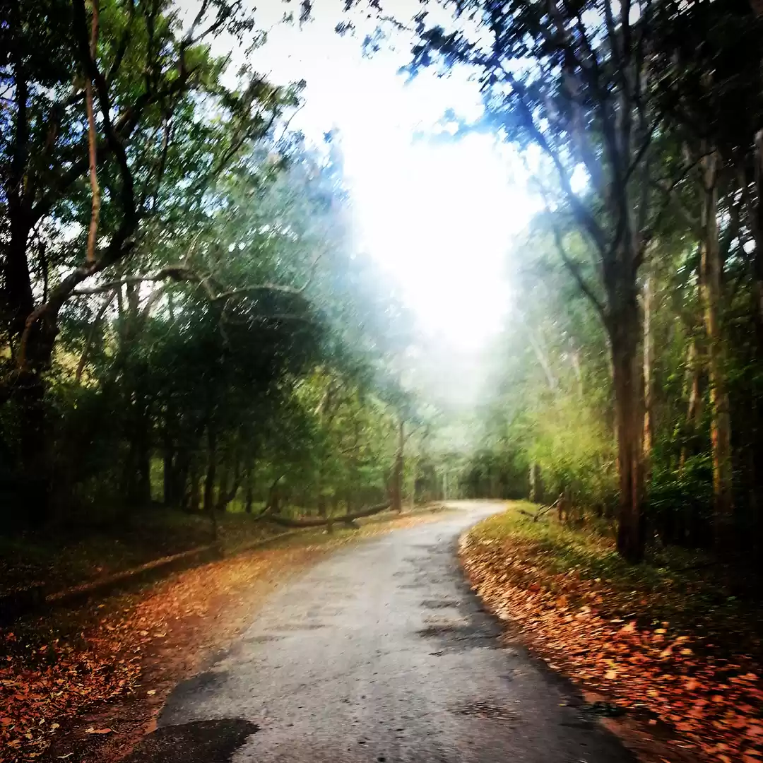 Photo of Urban nomad presents