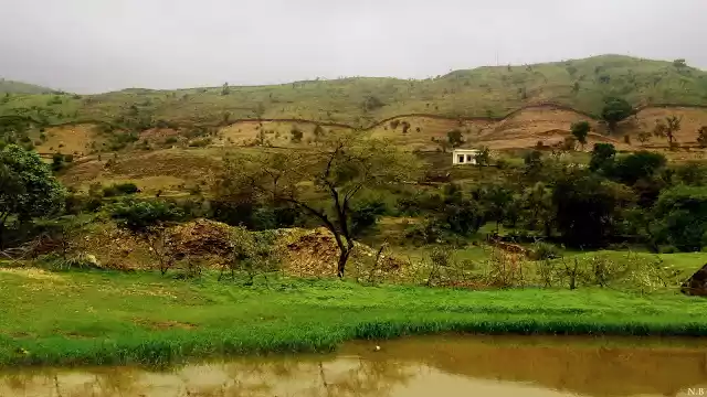 Photo of Exploring the lesser