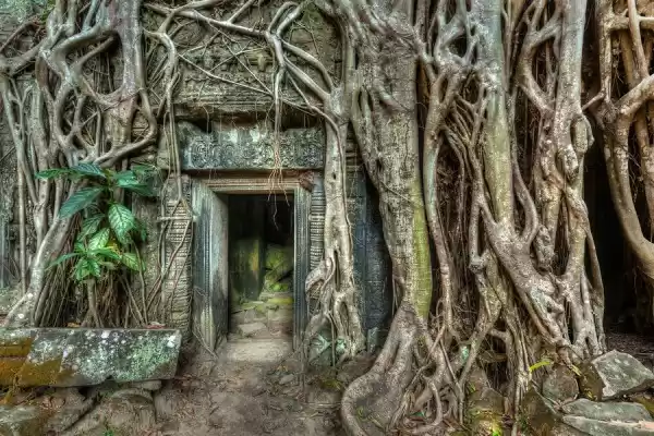 Photo of Must see places in C