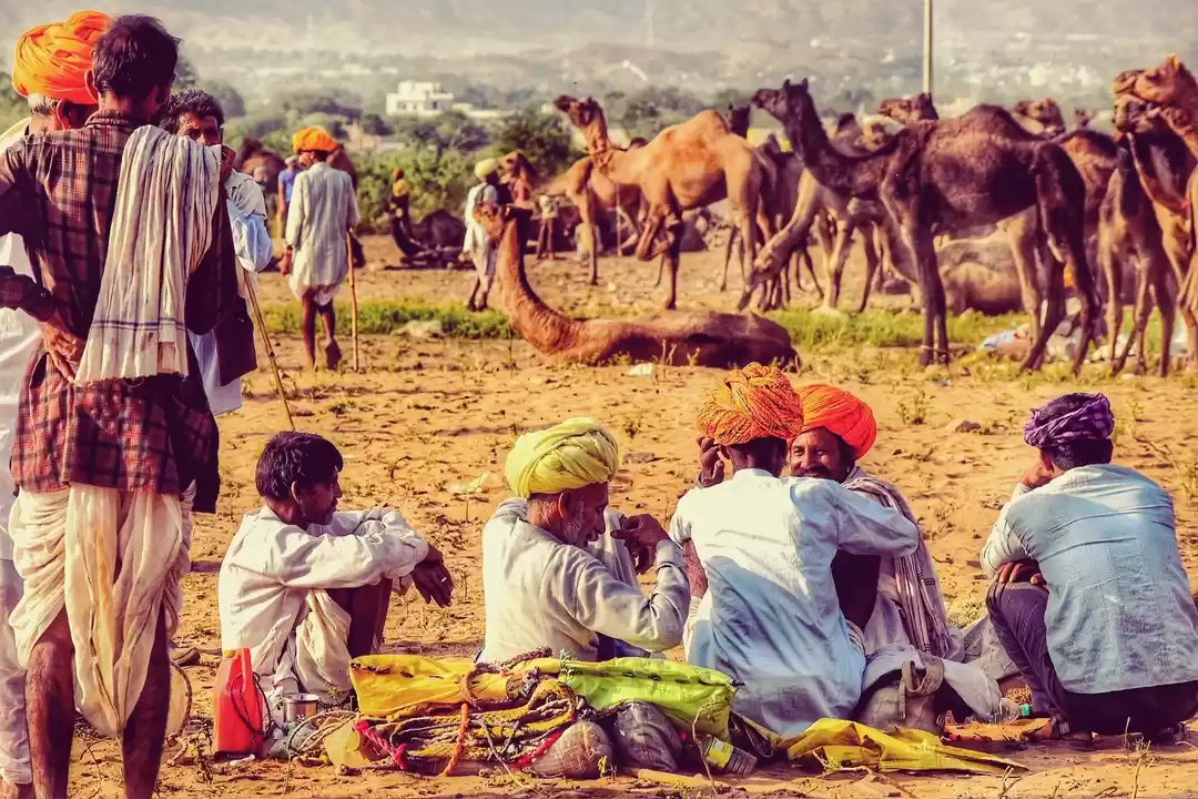 Photo of Rajasthan Ri shan #r