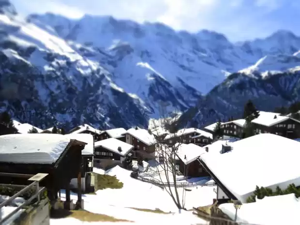 Photo of A Cuckoo Clock Town 