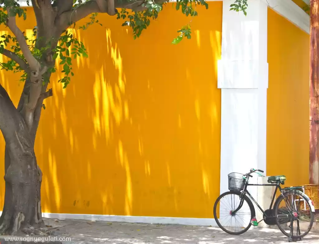 Photo of Pondidiaries: India’