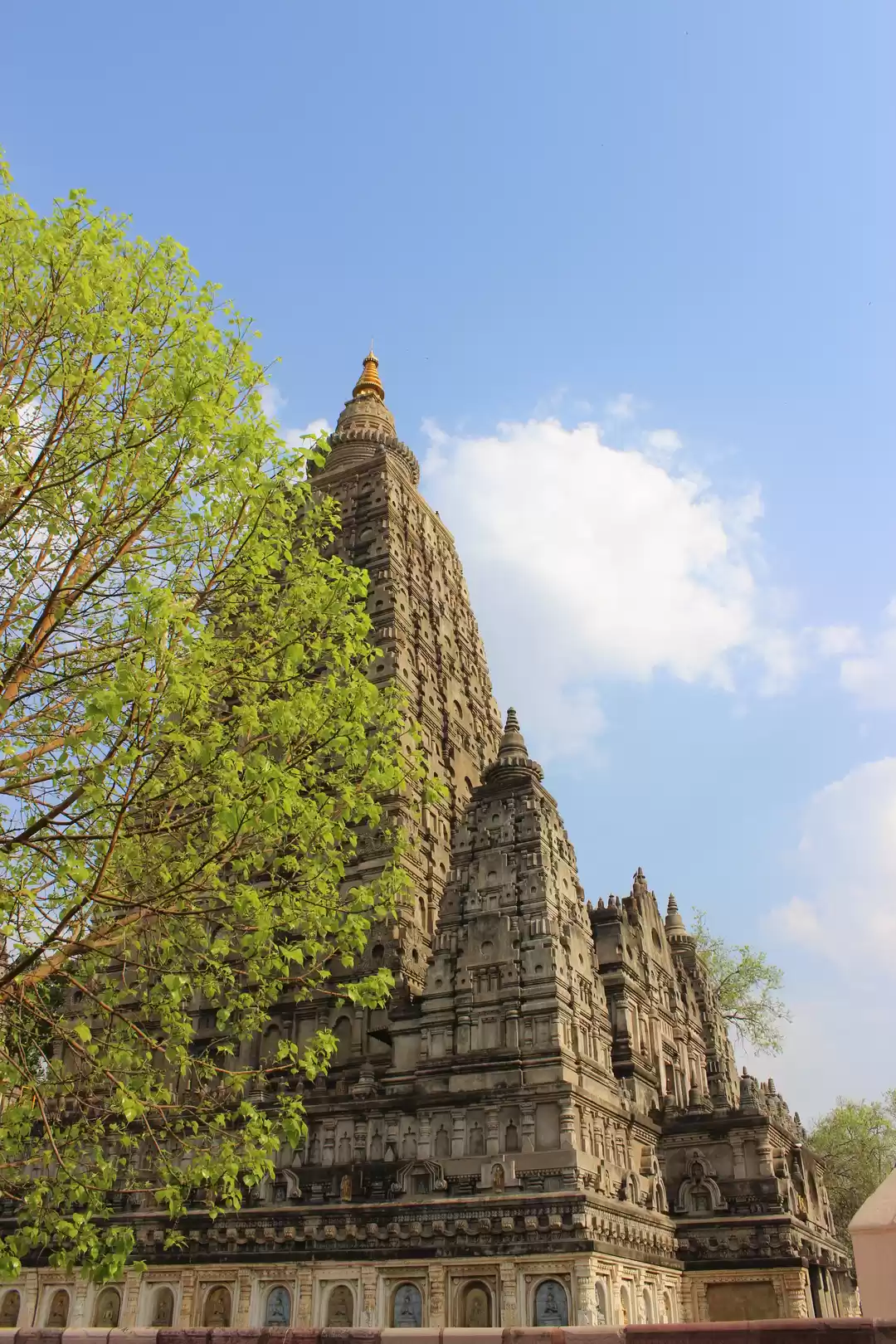 Photo of MAHABODHI