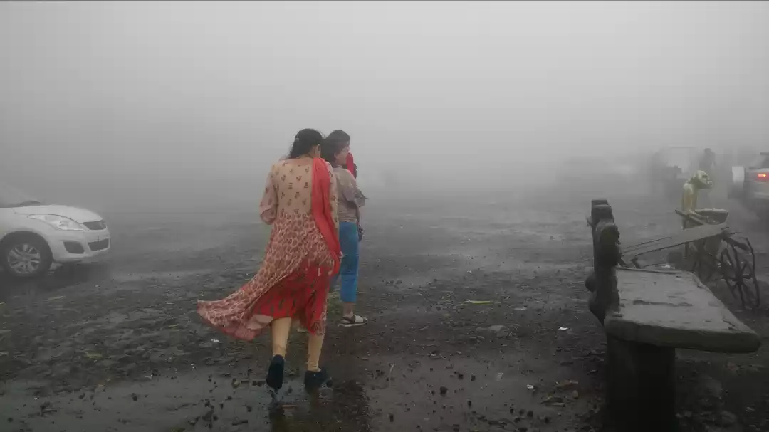 Photo of First encounter with