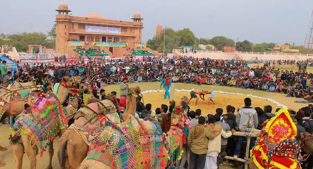 Photo of Camel Festival Bikan