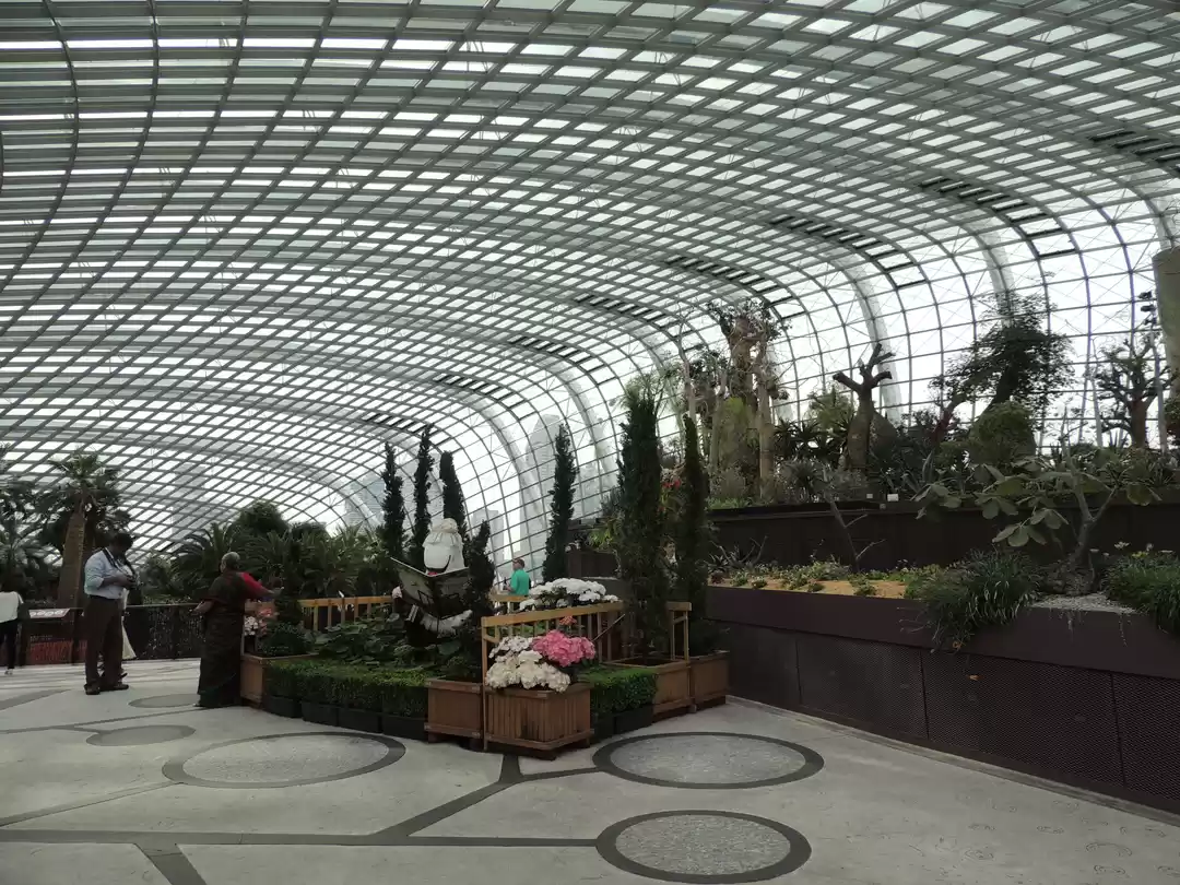 Photo of Trip to Singapore --