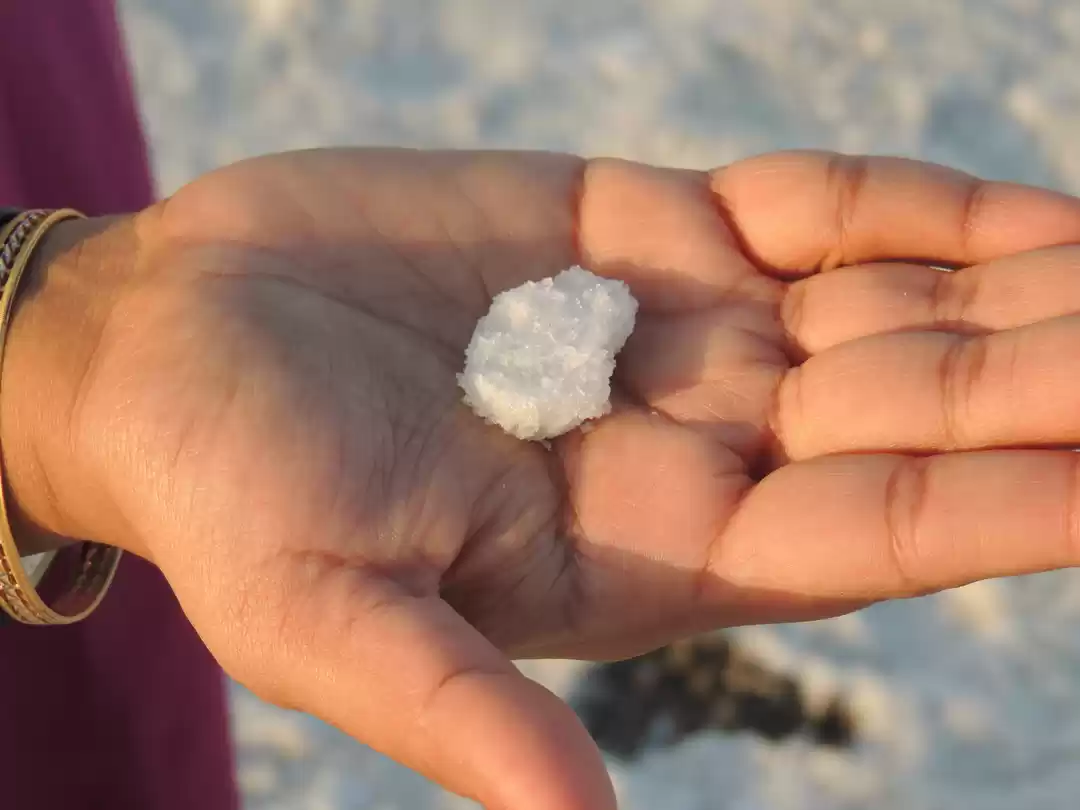 Photo of Rann utsav - Jan 201