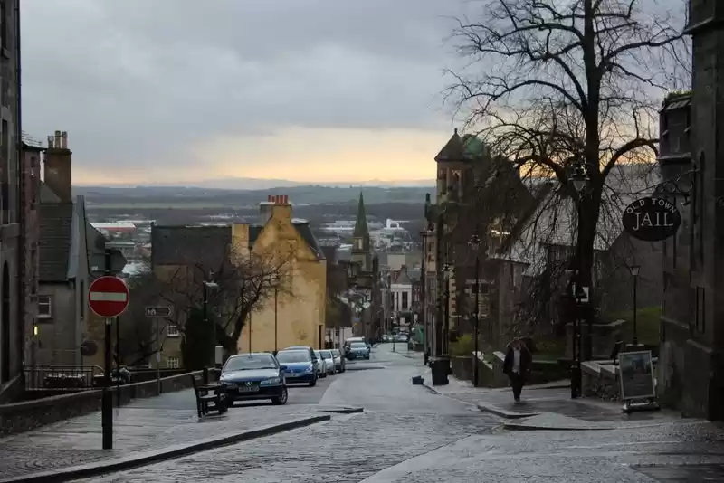 Photo of Dunmore Pineapple, t