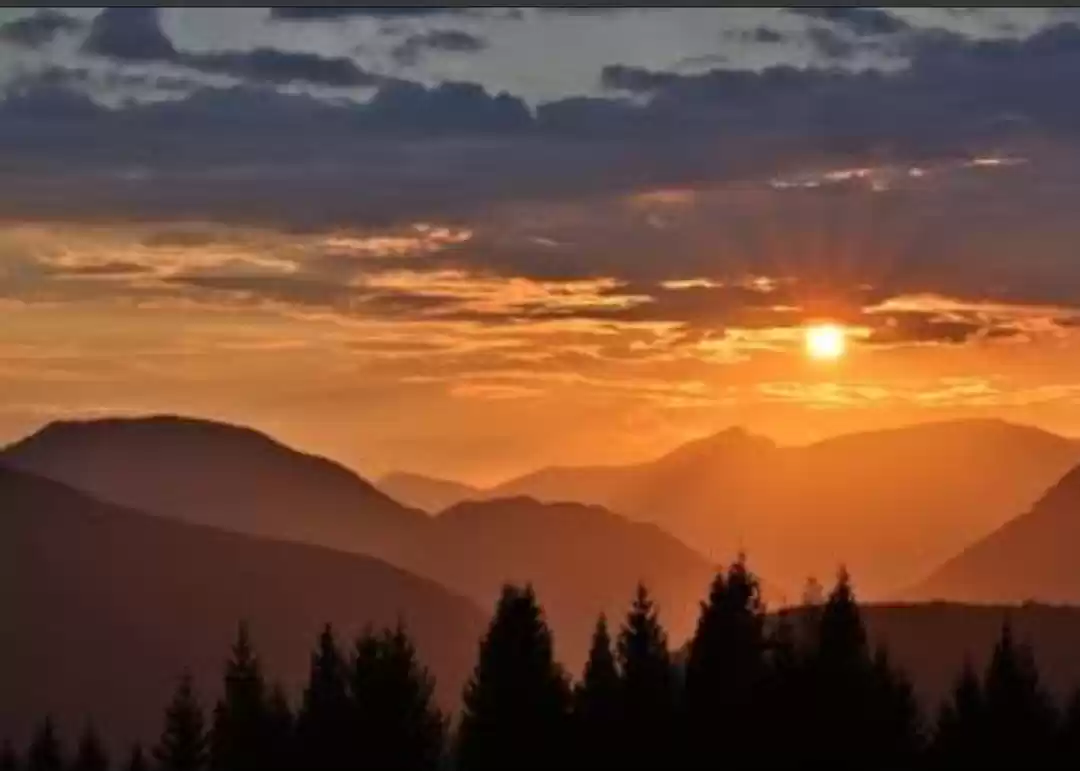 Photo of Things Not To Miss W