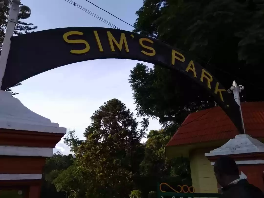 Photo of SIM'S PARK 