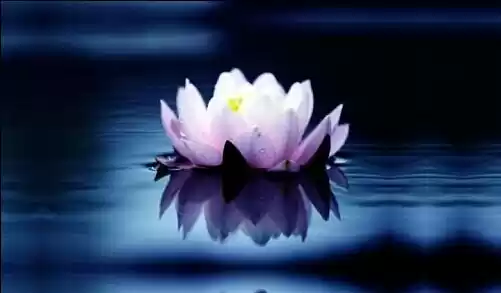 Photo of Places to worship in