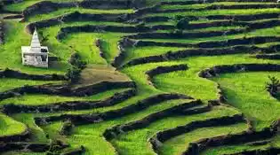 Photo of Summer Visits- 2