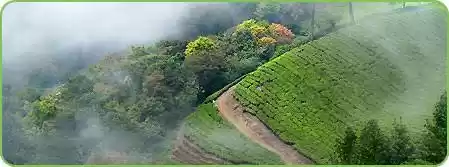 Photo of Hills Stations to Vi