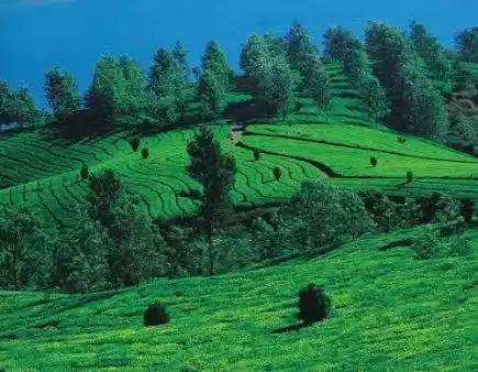 Photo of POPULAR HILL STATION