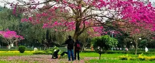 Photo of Places to see in Ban