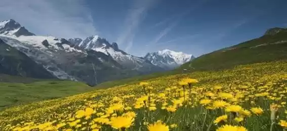 Photo of Hill Stations to Vis