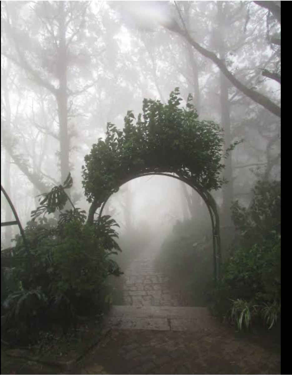 Foggy And Misty Places To Visit In India During Winter Tripoto These places are romantic and considered to be one of the best honeymoon places in maharashtra. visit in india during winter