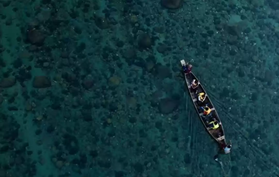 Photo of MORACHI CHINCHOLI